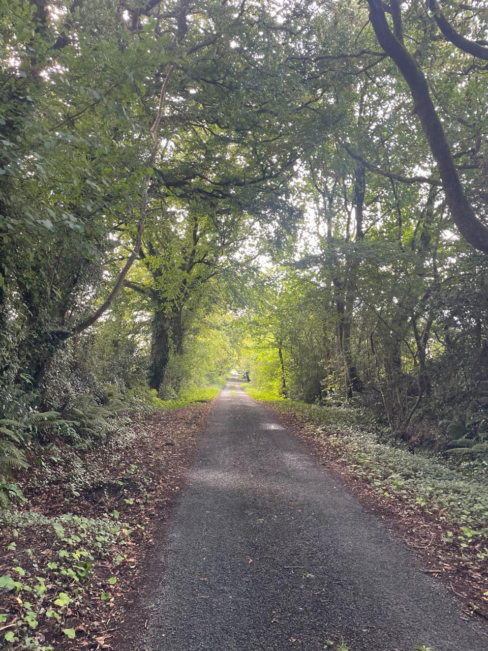 Back on the open road — the canal towpath under a rare blue sky