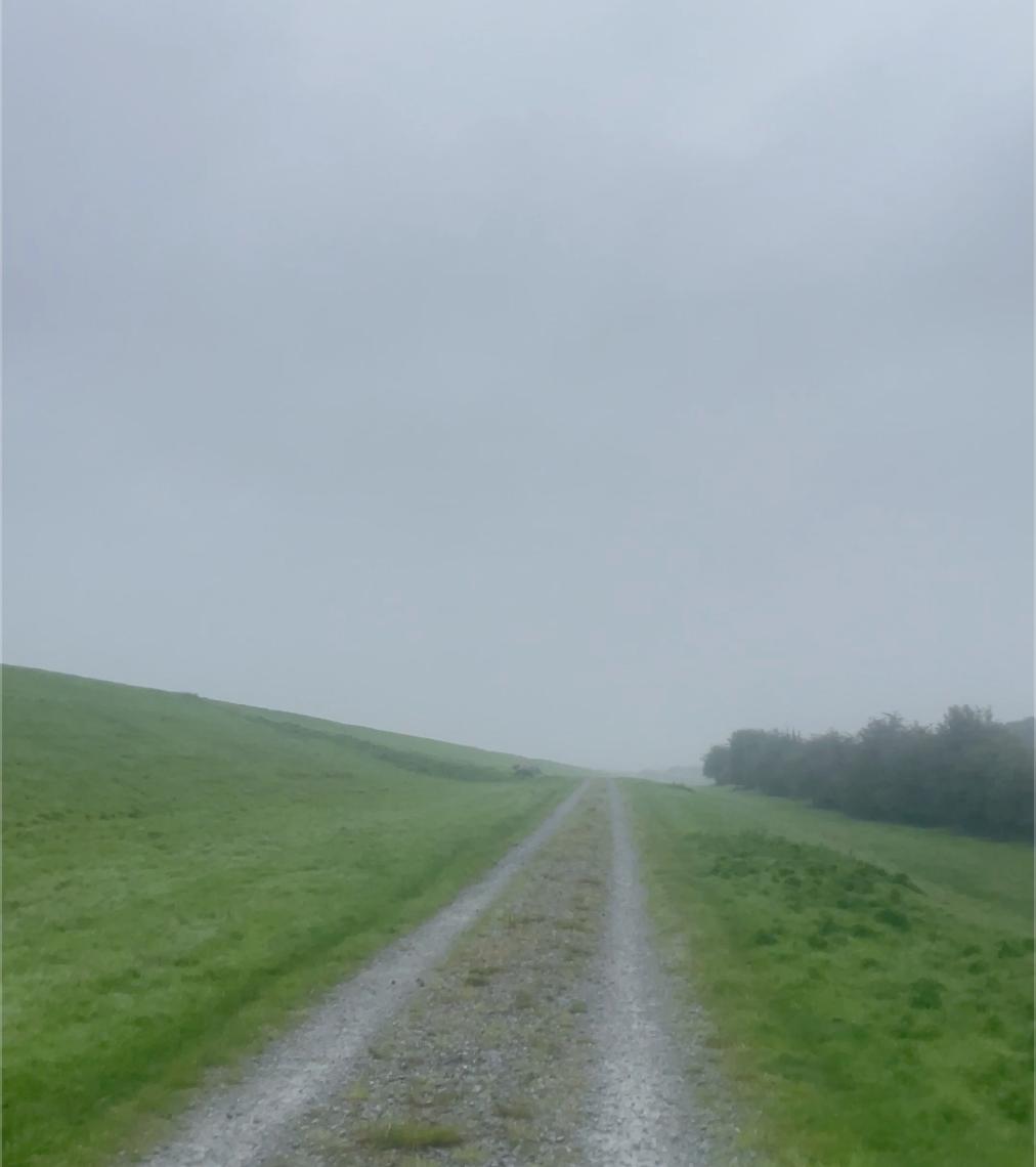 Day 4: a misty country road in proper Irish weather