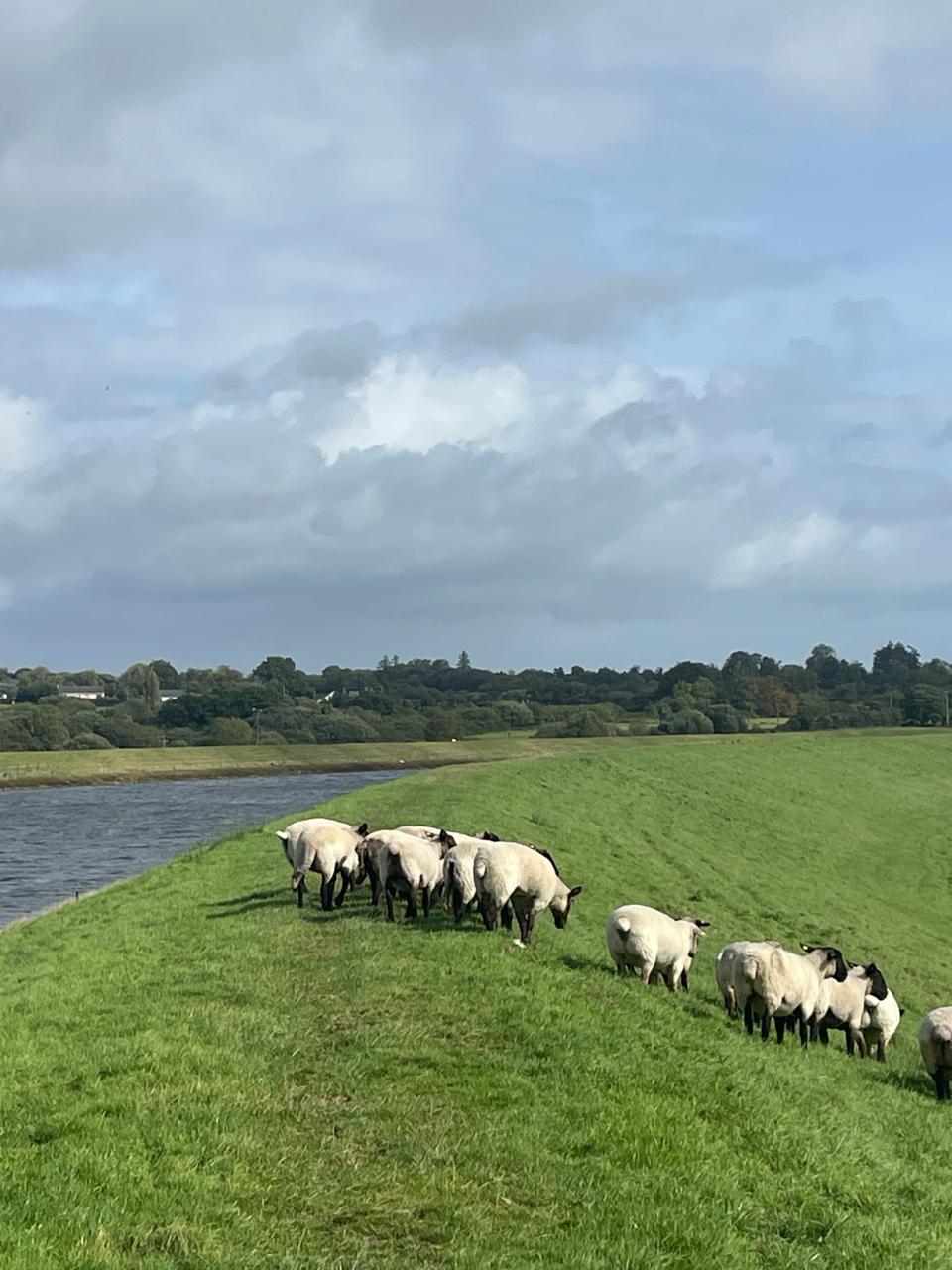 The road ahead — five days down, ninety-five to go